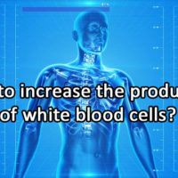 How to increase the production of white blood cells?