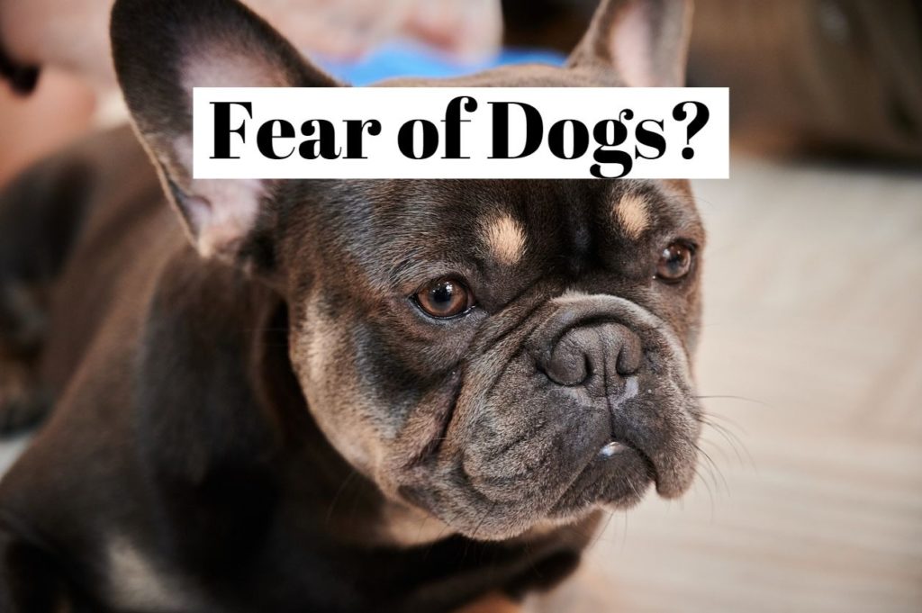 Fear of Dogs