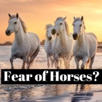 How to overcome the fear of horses ?