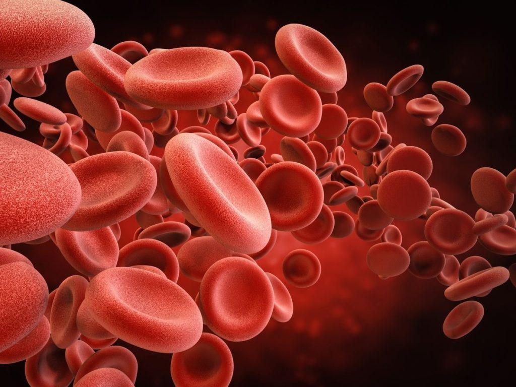 How To Increase Red Blood Cells Hemoglobins